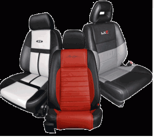 Leather Trimmed Interiors leather